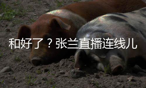 大S怼网和好了连线心病 怒张兰直播太重儿媳友疑