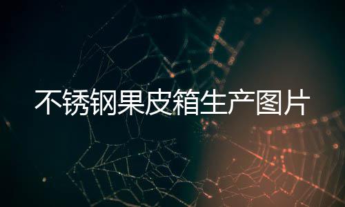 不锈图片皮箱生产钢果